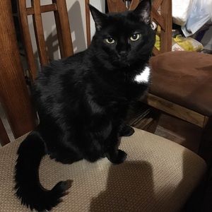 Meet your Posher, Kimberly